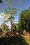 Free Cambodia, Angkor: The Preah Khan Stock Image - 5368691