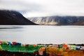 Free A Tibet Flag Stock Photos - 5373923