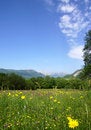 Free Tranquil Rural Scene With A Meadow And Mountains Royalty Free Stock Image - 5374676