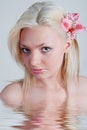 Free Rosy Orchid Stock Images - 5376464