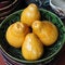 Free Ceramic Pomeloes Royalty Free Stock Photo - 5376675