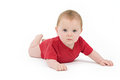 Free Portrait Of A Six Months Old Baby Red Royalty Free Stock Image - 5385466
