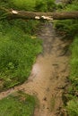 Free Clean Brook Stock Photo - 5387620