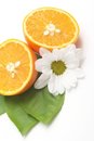 Free Juicy Half Oranges Stock Image - 5387941