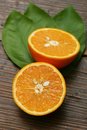 Free Juicy Half Oranges Royalty Free Stock Photography - 5389737