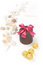 Free Holiday Gift Stock Image - 5389791