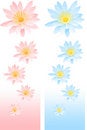 Free Lily Decor Royalty Free Stock Photo - 5394935
