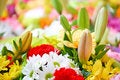 Free Flowers Background Stock Photography - 5395972