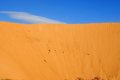 Free Desert Royalty Free Stock Photo - 5396055