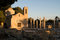 Free Ancient Church And Ruins Of Colomns Royalty Free Stock Images - 5394429