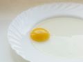 Free Still Life With Egg16 Stock Photography - 542352
