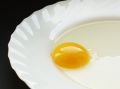Free Still Life With Egg19 Royalty Free Stock Photo - 542355