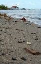 Free Sea Shore. Royalty Free Stock Image - 548656
