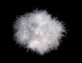 Free Featherball Royalty Free Stock Photos - 548848
