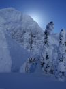 Free Winters Wonder Stock Photography - 549402