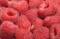 Free Red Raspberries Background Stock Image - 547621