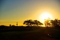 Free Rural Eucalypt Sunset Stock Images - 5402964