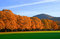 Free Alley In Autumn Royalty Free Stock Photography - 5402487