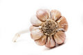 Free Garlic Isolated Stock Images - 5410044