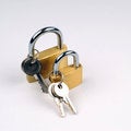 Free Locks Royalty Free Stock Image - 5417556