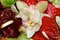 Free Beautiful Bouquet Stock Photo - 5413450