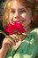 Free Girl With A Red Rose Royalty Free Stock Images - 5422299