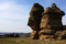 Free Hasihatu Stone Forest Royalty Free Stock Image - 5424326