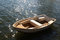 Free Small Boat In Caribbean Royalty Free Stock Photography - 5427177