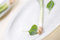 Free High Key Green Onion On A Plate Stock Images - 5427844