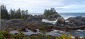 Free Seashore Stock Photo - 5431040