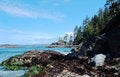 Free Seashore Stock Image - 5431191