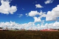 Free Tibet Flags On The Field Royalty Free Stock Photo - 5438015