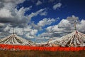 Free Tibet Flags On The Field Royalty Free Stock Image - 5438286