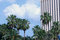 Free Holiday Hotel Royalty Free Stock Photo - 5432795