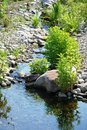 Free Streamlet Among Stones. Stock Image - 5447391