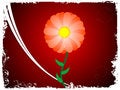 Free Circular Flower Stock Photo - 5452390