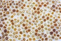 Free Seed Texture Royalty Free Stock Photo - 5455105