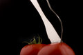 Free SLICING TOMATO Royalty Free Stock Image - 5459106