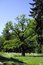 Free Park In Kadriorg Stock Photography - 5452032