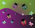 Free Ladybirds And Butterflies Stock Photo - 5460200