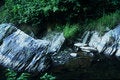 Free Rocky Stream Royalty Free Stock Photos - 5463998