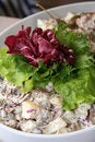 Free Salad Stock Photo - 5464060