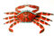 Free Kite Of Crab Stock Photography - 5463252