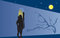 Free Silhouette Of The Girl At A Wall Stock Image - 5466561