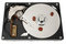 Free Hard Disk, Three Bugs Stock Images - 5467184