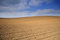Free Field, Sky And Clouds. Royalty Free Stock Photo - 5469755