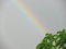 Free Rainbow Stock Photography - 5469902