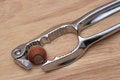 Free Strong Nut. Royalty Free Stock Photos - 5478698