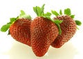 Free Close Up Shot Of Three Ripe Strawberry Royalty Free Stock Image - 5485206