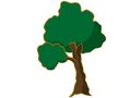 Free Live Tree Royalty Free Stock Images - 5492719